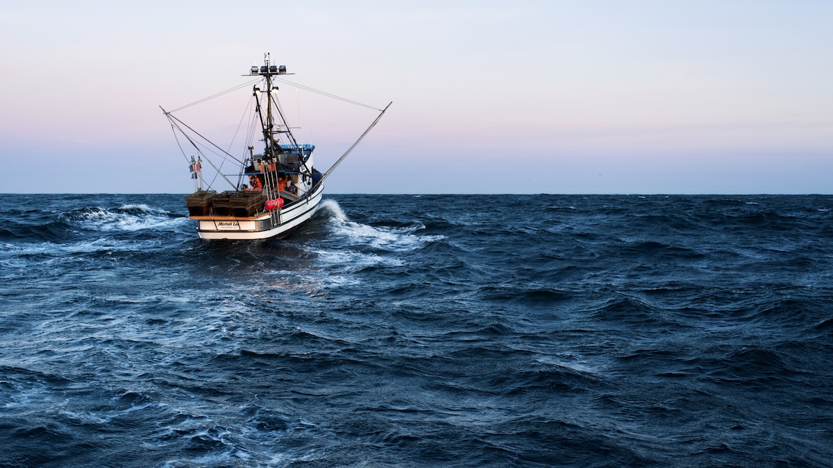 Fisheries Trusts Can Advance Sustainability and Resilience Goals