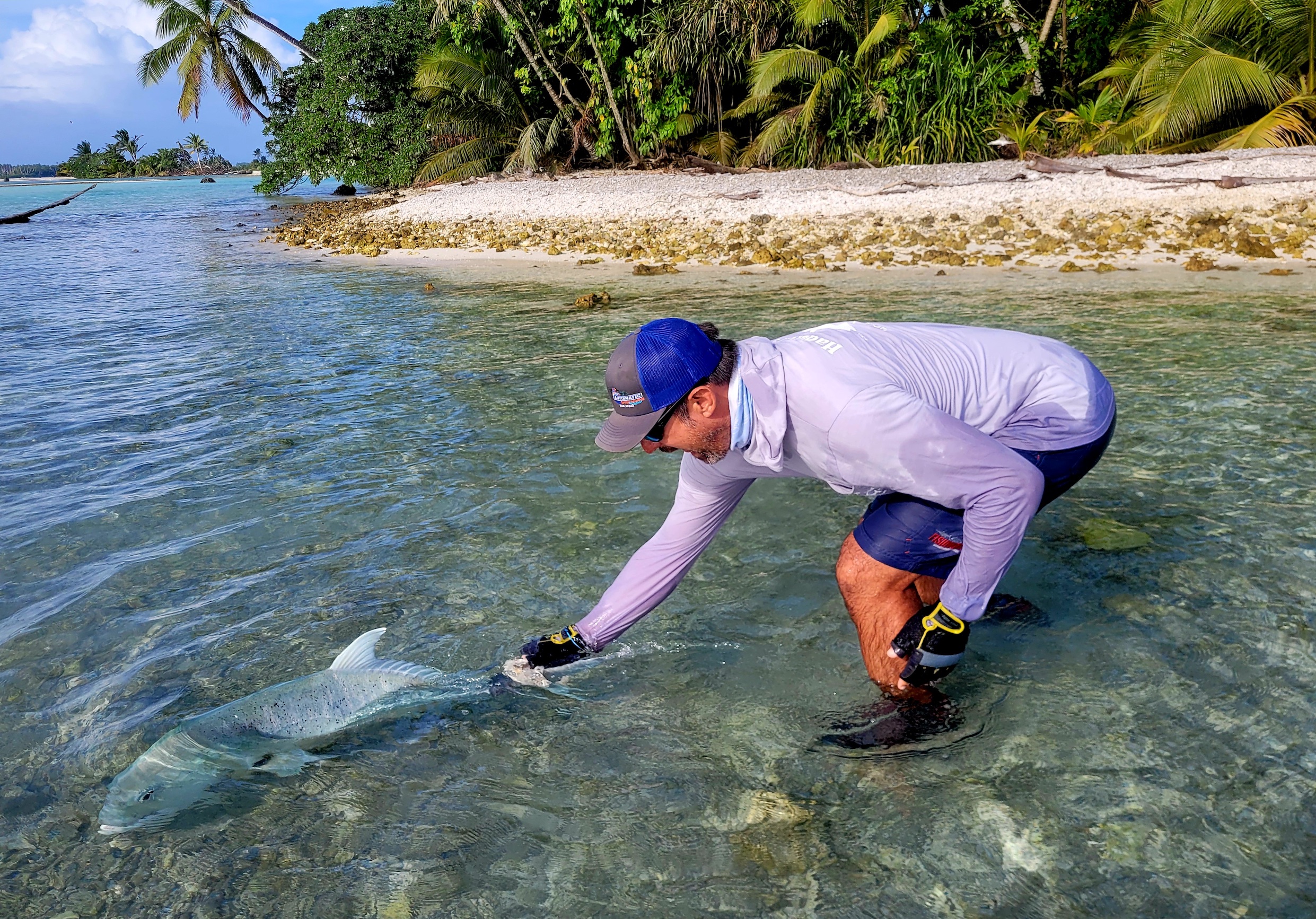 Lost and Found: A Story from Palmyra Atoll