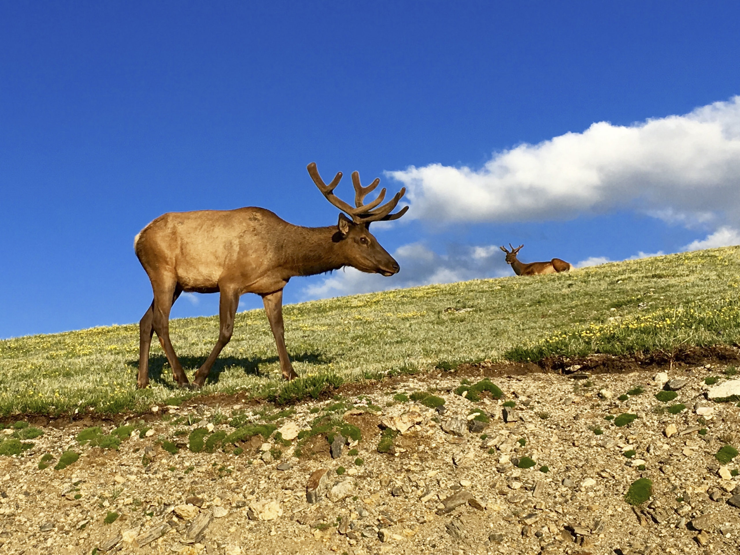 8 Fall Nature Experiences to Enjoy