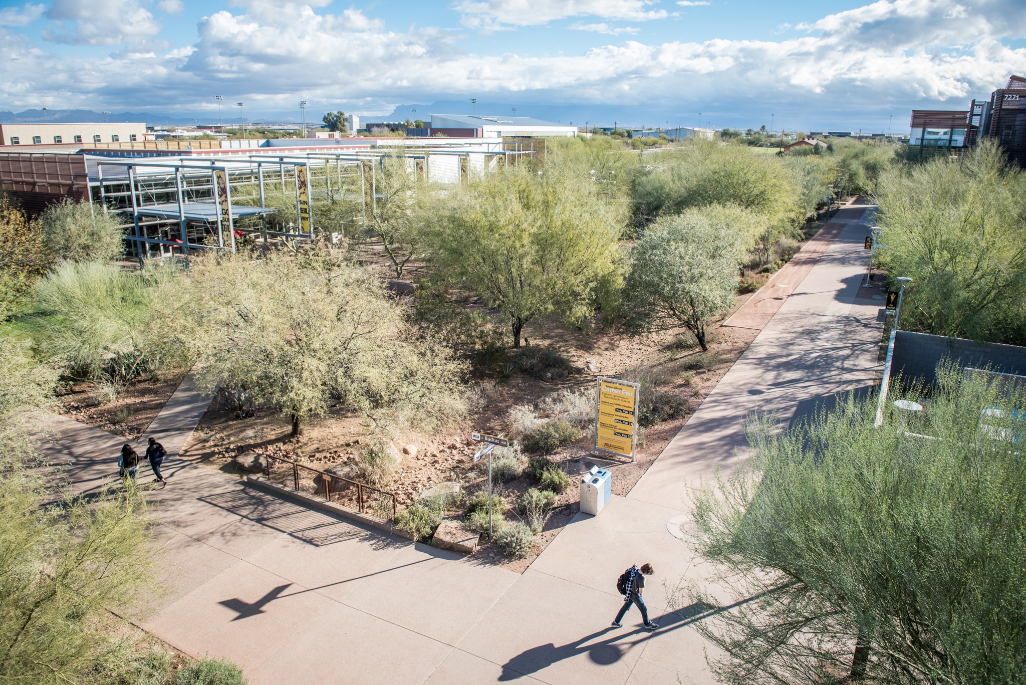 How Trees Can Help Fight Rising Heat in Arid Cities