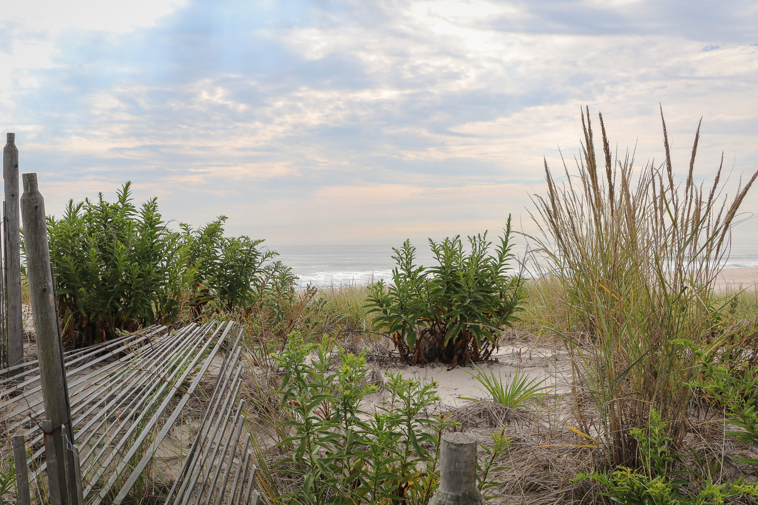 The Secret in the Sand Dunes