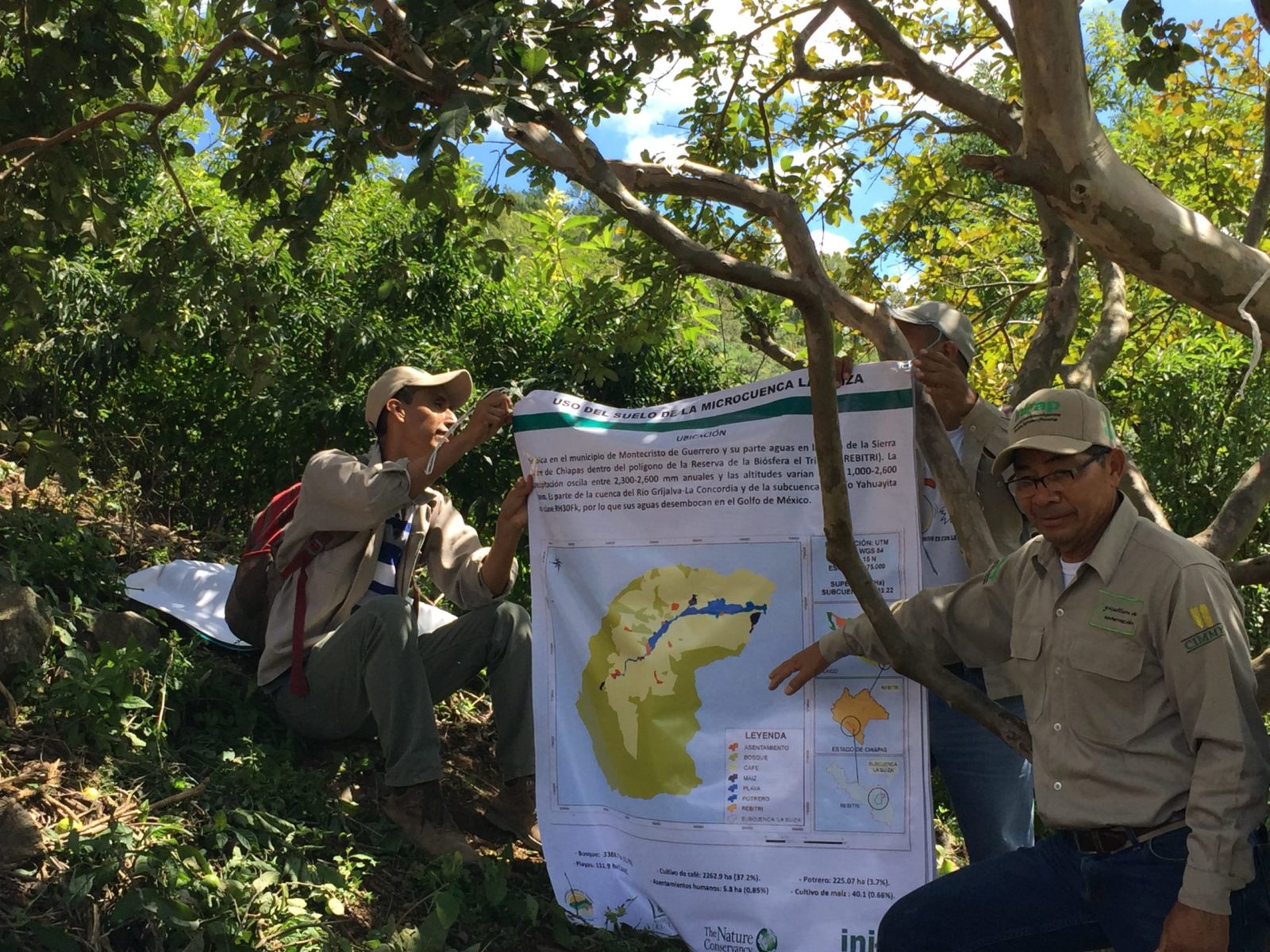 Agriculture Can Be a Solution for Deforestation in Chiapas, Mexico