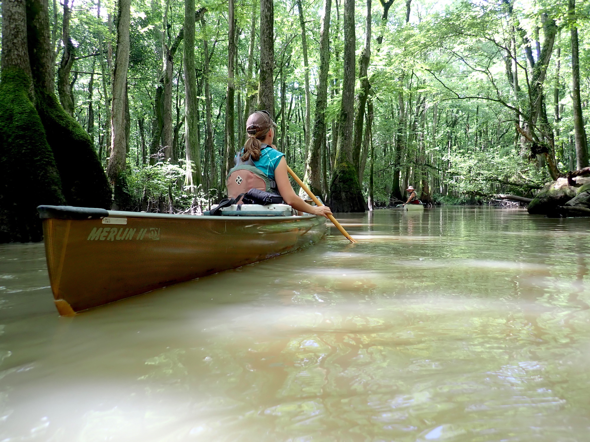 Exploring and Protecting the Arkansas Bayou