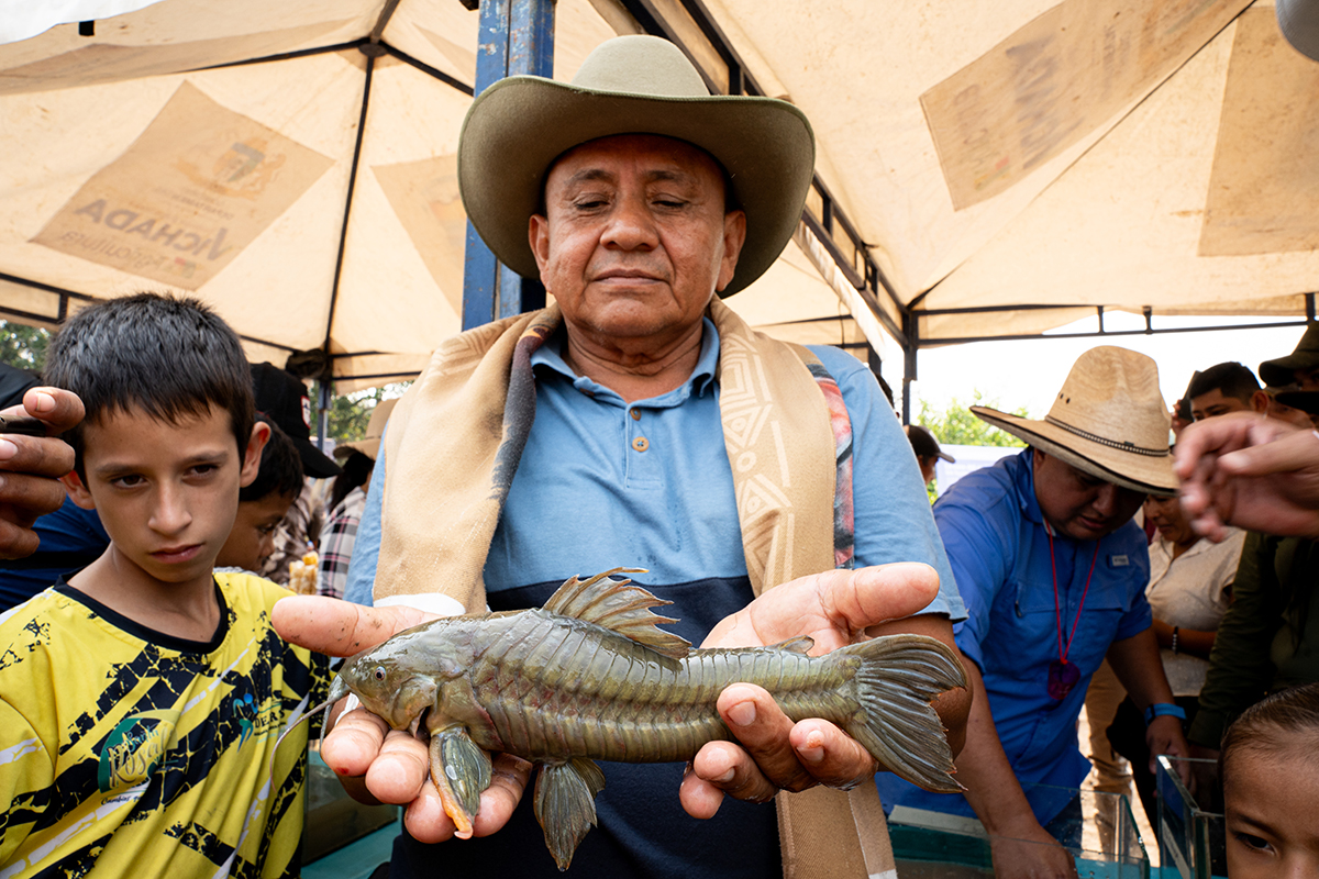 The Curito: Guardian of Orinoquia Conservation and Tradition